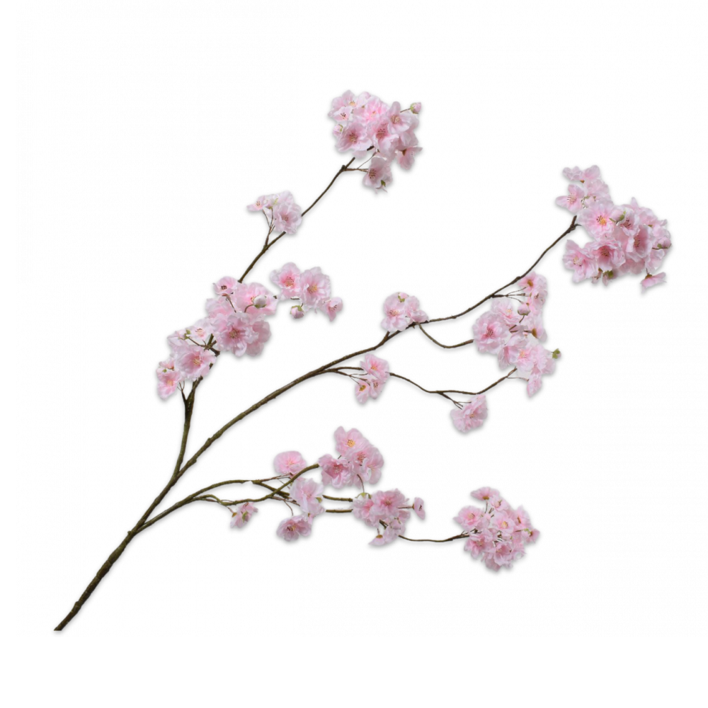 Kirschblüte - weiss/pink 121581