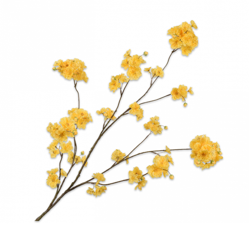 Kirschblüte - gelb 139708