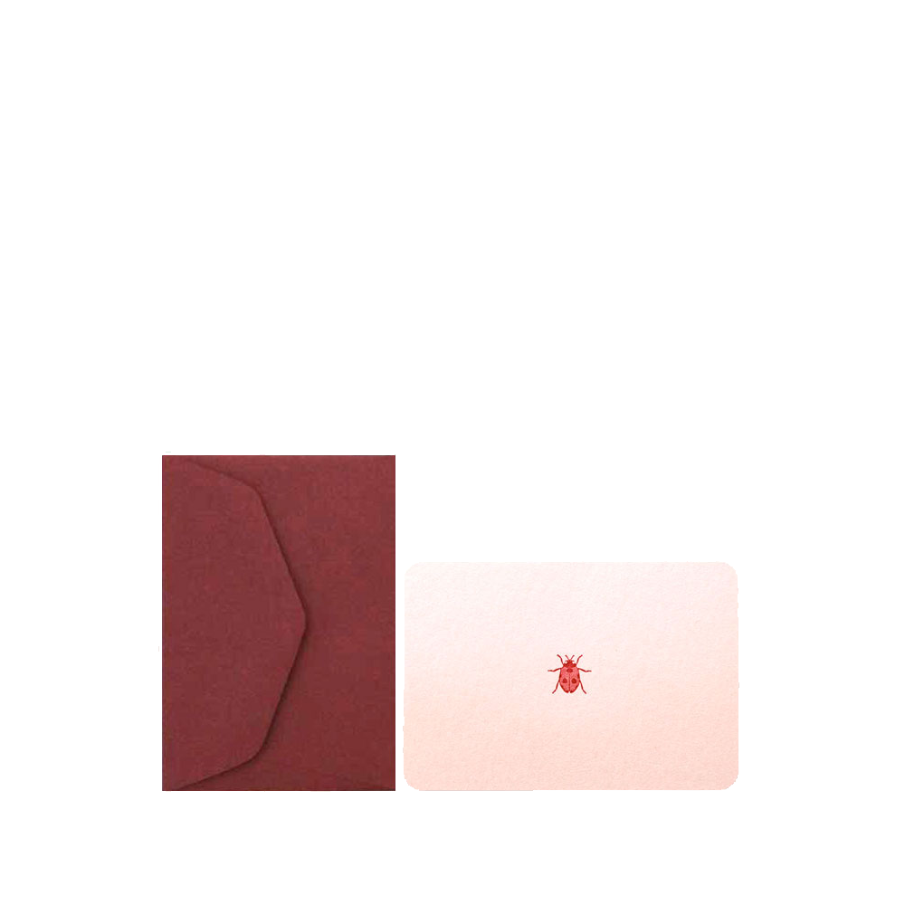 Grusskarte Mini - Ladybug