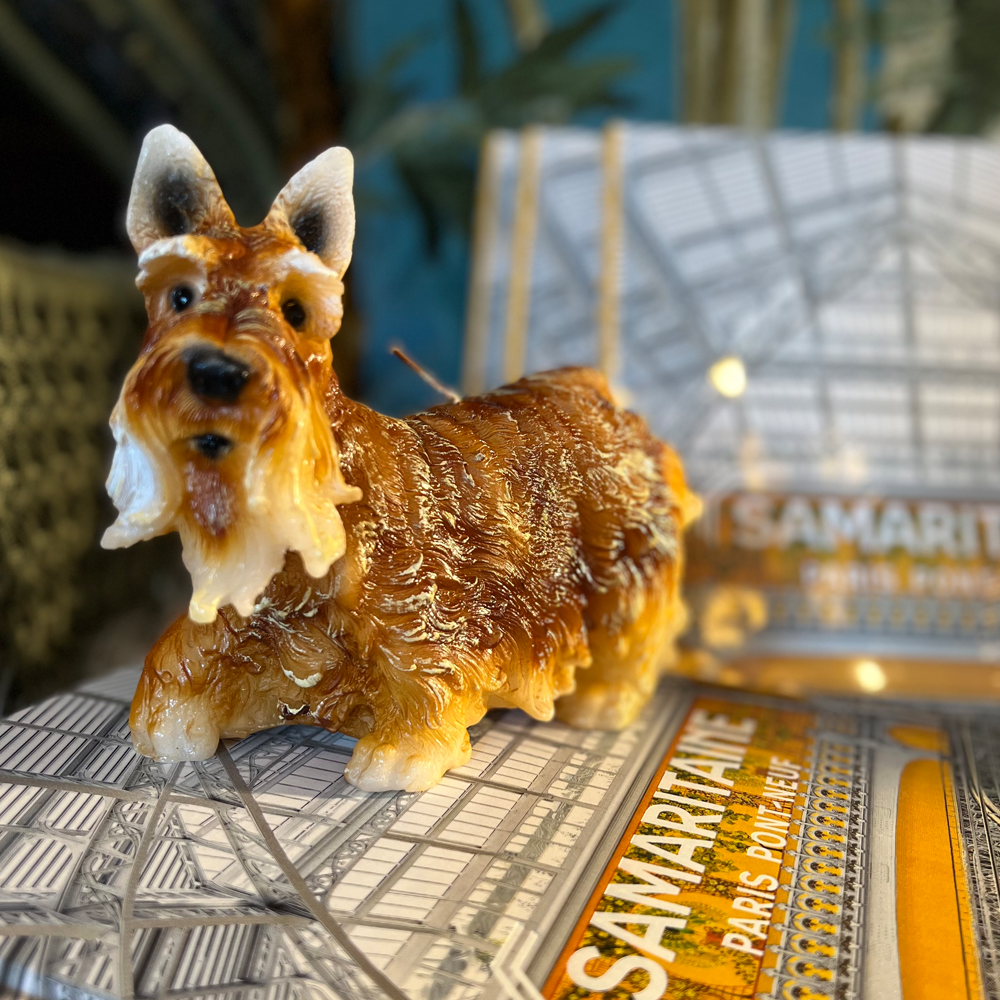 Candle animal - Schnauzer