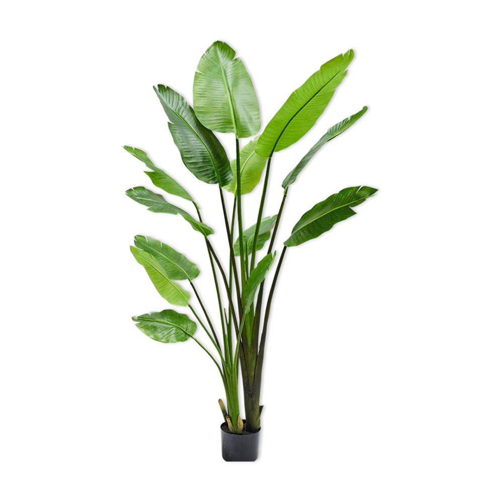 Kunstpflanze Strelitzie - grün L